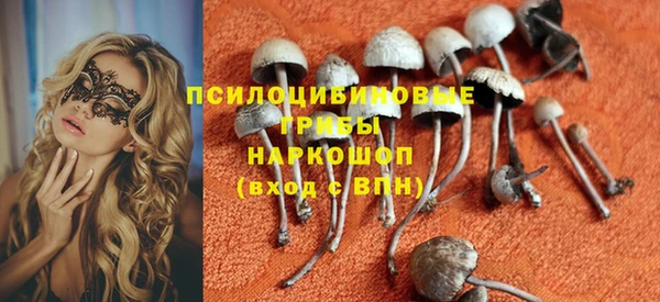 соль ск Алексеевка