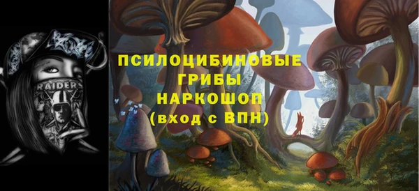 соль ск Алексеевка