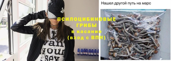 не бодяженный Алексин